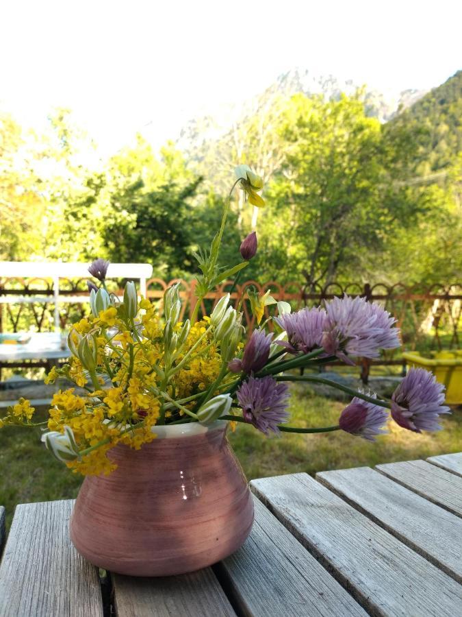 Ou Dans Maison De Montagne - De Suzon A Zelie * Entraigues (Isere)