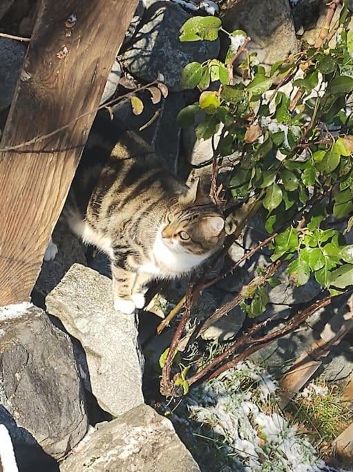 Ou Dans Maison De Montagne Séjour chez l'habitant