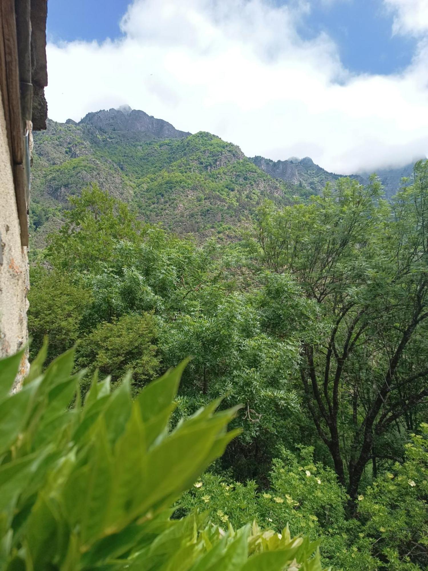 Ou Dans Maison De Montagne *